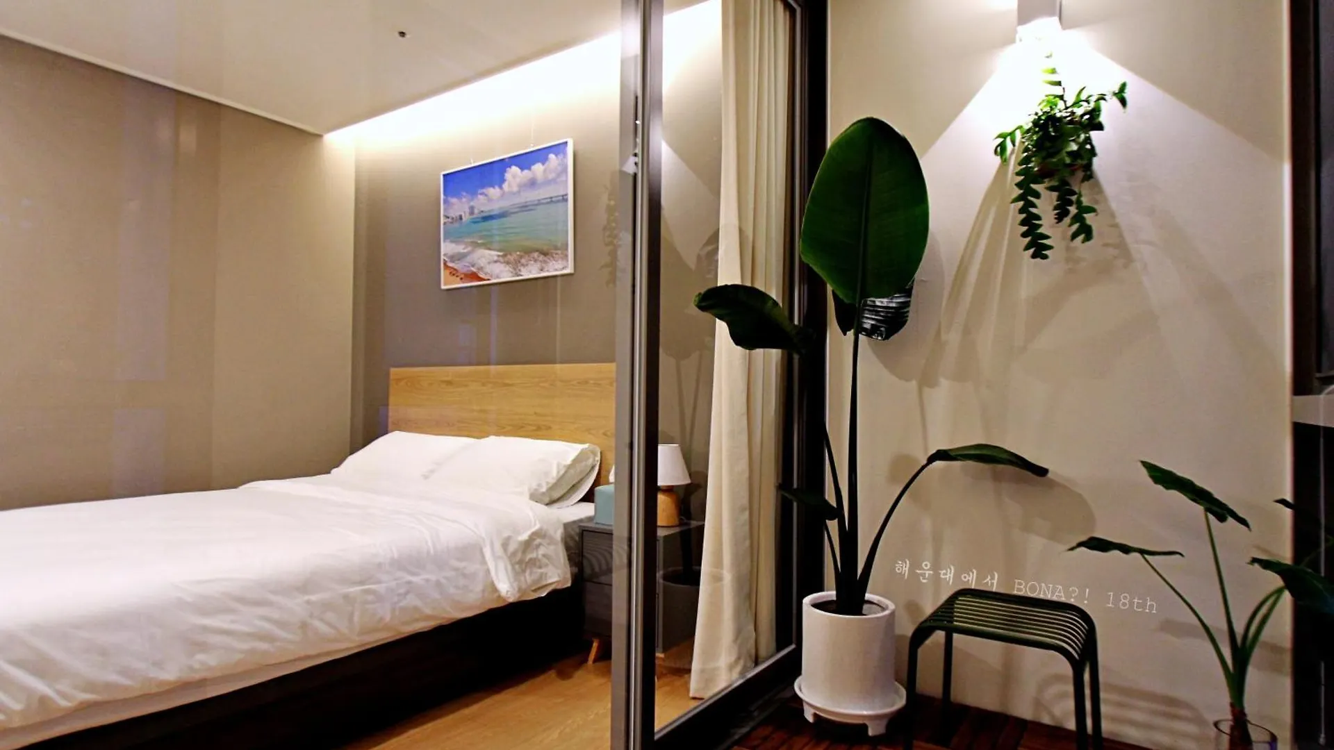 Elbon The Stay X Bona Travel Busan